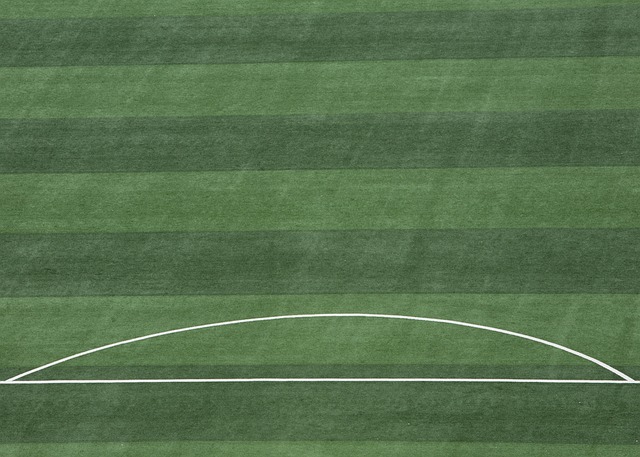 遗憾落败 遗憾落败