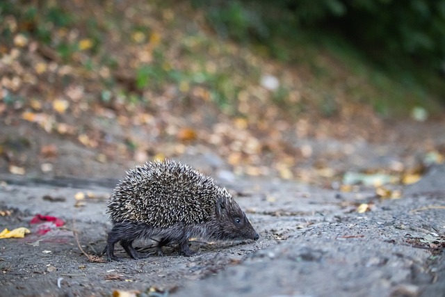 创新的商业 创新的商业