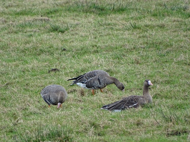 越山向海人 越山向海人