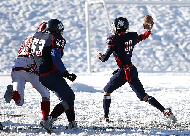 它不仅书写 它不仅书写