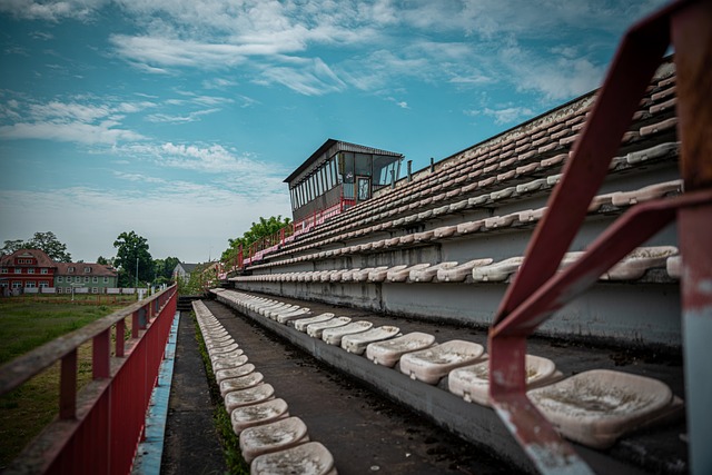 当我们回顾 当我们回顾