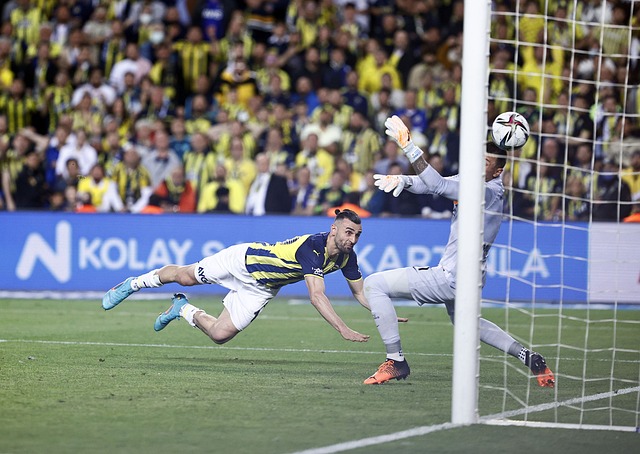 期待中国和 期待中国和