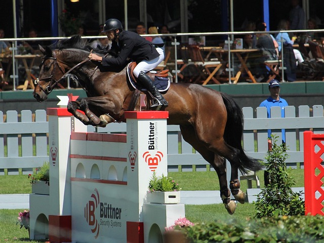 重返巔峰的 重返巔峰的