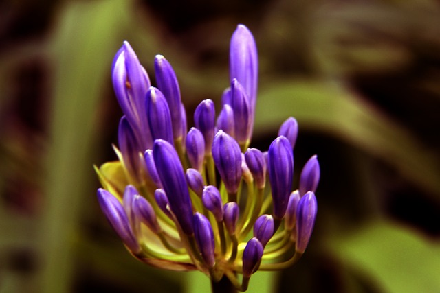 能力和防线 能力和防线