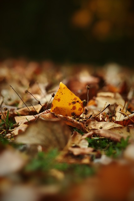 手的脚下 手的脚下