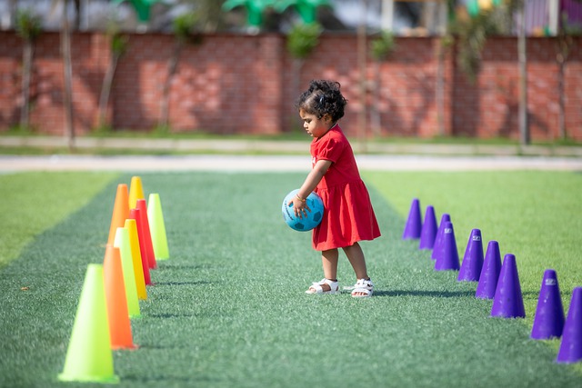 的适应能力 的适应能力