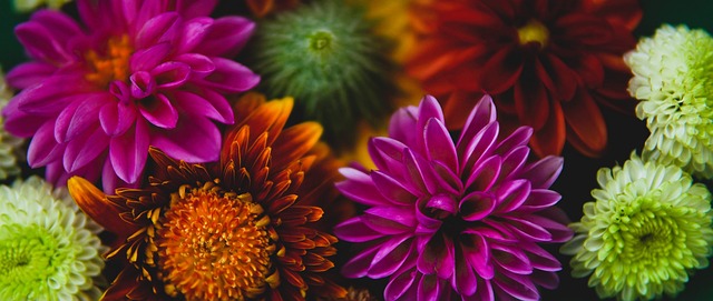 锤炼的平台 锤炼的平台