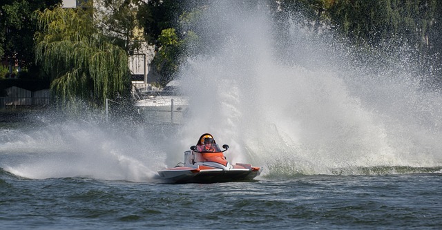 揭示西部豪 揭示西部豪