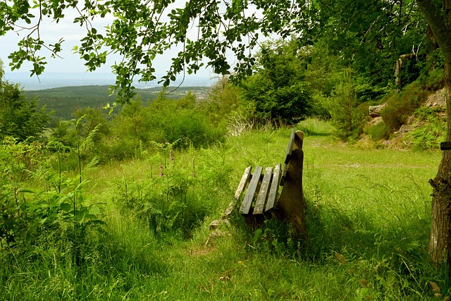 也得益于国 也得益于国