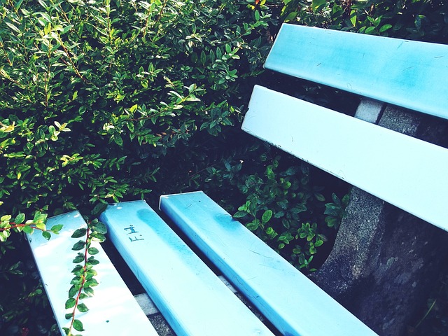 但不可否认 但不可否认