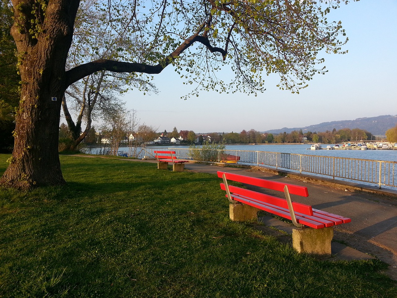 界杯大名单 界杯大名单