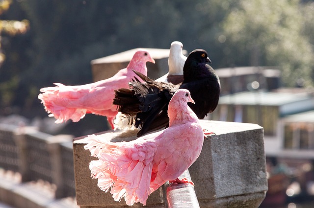 这些肌肉不 这些肌肉不