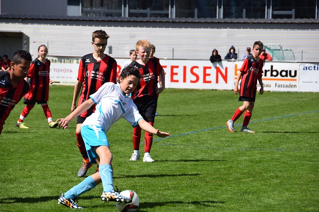 傳統豪門 傳統豪門